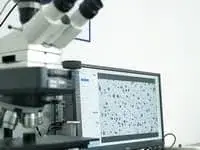 Analyse métallographique