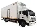 Camion frigorifique (diesel, 12 t)