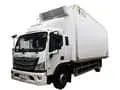 Camion frigorifique (diesel, 12 t)
