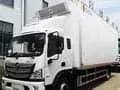 Camion frigorifique (diesel, 12 t)